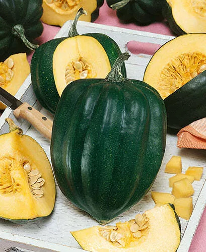 Table King Acorn Squash